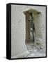 Donkey Peering Through Open Passage Way in White-Washed Wall in Ruined City-Howard Sochurek-Framed Stretched Canvas