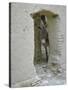 Donkey Peering Through Open Passage Way in White-Washed Wall in Ruined City-Howard Sochurek-Stretched Canvas