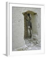 Donkey Peering Through Open Passage Way in White-Washed Wall in Ruined City-Howard Sochurek-Framed Photographic Print