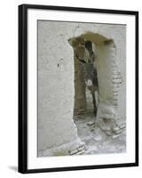 Donkey Peering Through Open Passage Way in White-Washed Wall in Ruined City-Howard Sochurek-Framed Photographic Print