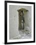 Donkey Peering Through Open Passage Way in White-Washed Wall in Ruined City-Howard Sochurek-Framed Photographic Print