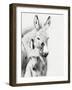 Donkey Portrait V-null-Framed Photographic Print