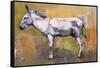 Donkey Stallion, Ronda, 1998-Mark Adlington-Framed Stretched Canvas