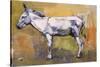 Donkey Stallion, Ronda, 1998-Mark Adlington-Stretched Canvas