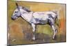 Donkey Stallion, Ronda, 1998-Mark Adlington-Mounted Giclee Print