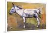 Donkey Stallion, Ronda, 1998-Mark Adlington-Framed Giclee Print