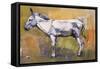 Donkey Stallion, Ronda, 1998-Mark Adlington-Framed Stretched Canvas