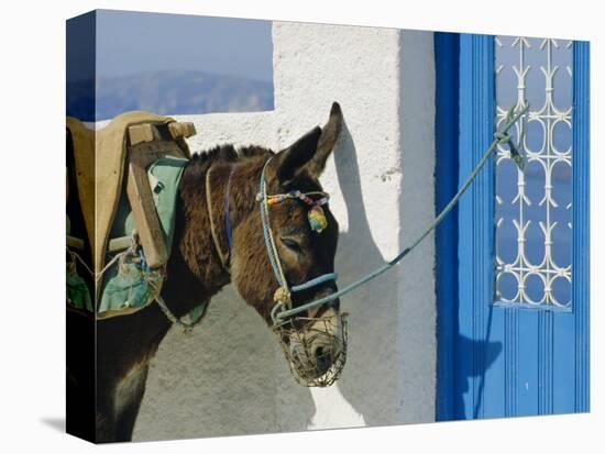 Donkey, Thira, Santorini, Cyclades Islands, Greece, Europe-Michael Short-Stretched Canvas