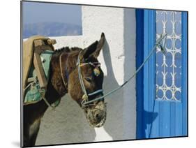 Donkey, Thira, Santorini, Cyclades Islands, Greece, Europe-Michael Short-Mounted Photographic Print