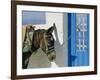 Donkey, Thira, Santorini, Cyclades Islands, Greece, Europe-Michael Short-Framed Photographic Print