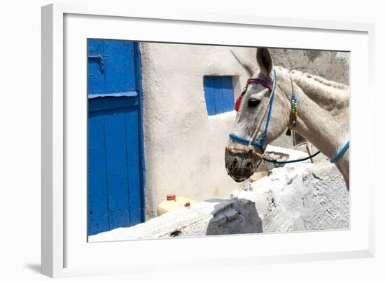 Donkey Waits at Cobbled Stairway, Santorini, Greece-David Noyes-Framed Photographic Print