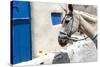 Donkey Waits at Cobbled Stairway, Santorini, Greece-David Noyes-Stretched Canvas