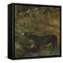 Donkey with Foal: Study for The Cornfield-John Constable-Framed Stretched Canvas