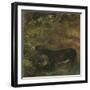 Donkey with Foal: Study for The Cornfield-John Constable-Framed Giclee Print