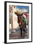 Donkey-Okssi-Framed Photographic Print