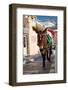 Donkey-Okssi-Framed Photographic Print