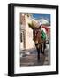 Donkey-Okssi-Framed Photographic Print