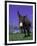 Donkey-Lynn M^ Stone-Framed Photographic Print