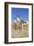 Donkey-null-Framed Photographic Print