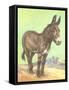 Donkey-null-Framed Stretched Canvas