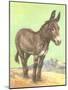 Donkey-null-Mounted Art Print