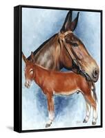 Donkey-Barbara Keith-Framed Stretched Canvas