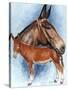 Donkey-Barbara Keith-Stretched Canvas
