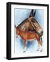 Donkey-Barbara Keith-Framed Giclee Print