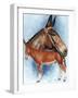 Donkey-Barbara Keith-Framed Giclee Print