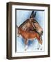 Donkey-Barbara Keith-Framed Giclee Print