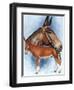 Donkey-Barbara Keith-Framed Giclee Print