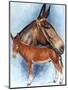 Donkey-Barbara Keith-Mounted Giclee Print