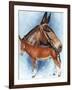 Donkey-Barbara Keith-Framed Giclee Print