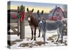 Donkeys and Barn-Russell Cobane-Stretched Canvas