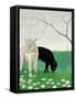 Donkeys and Daisies-Maggie Rowe-Framed Stretched Canvas