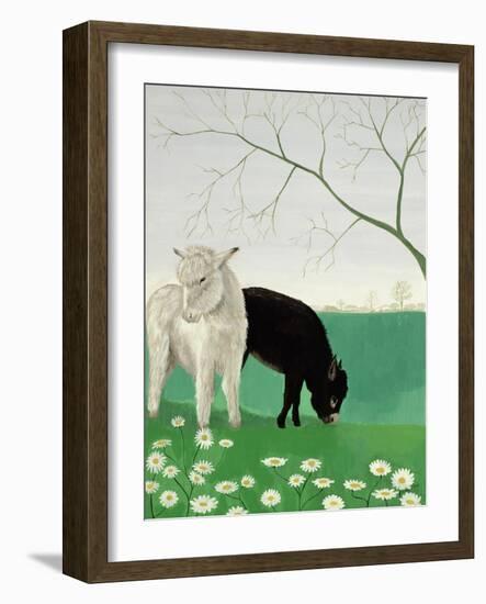 Donkeys and Daisies-Maggie Rowe-Framed Giclee Print