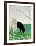 Donkeys and Daisies-Maggie Rowe-Framed Giclee Print