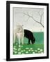Donkeys and Daisies-Maggie Rowe-Framed Giclee Print