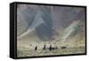 Donkeys and Farmers Make their Way Home Near Band-E Amir, Afghanistan, Asia-Alex Treadway-Framed Stretched Canvas