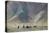 Donkeys and Farmers Make their Way Home Near Band-E Amir, Afghanistan, Asia-Alex Treadway-Stretched Canvas