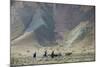 Donkeys and Farmers Make their Way Home Near Band-E Amir, Afghanistan, Asia-Alex Treadway-Mounted Photographic Print