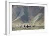 Donkeys and Farmers Make their Way Home Near Band-E Amir, Afghanistan, Asia-Alex Treadway-Framed Photographic Print