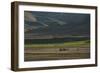 Donkeys are the Main Source of Transport in Rural Bamiyan Province, Afghanistan, Asia-Alex Treadway-Framed Photographic Print