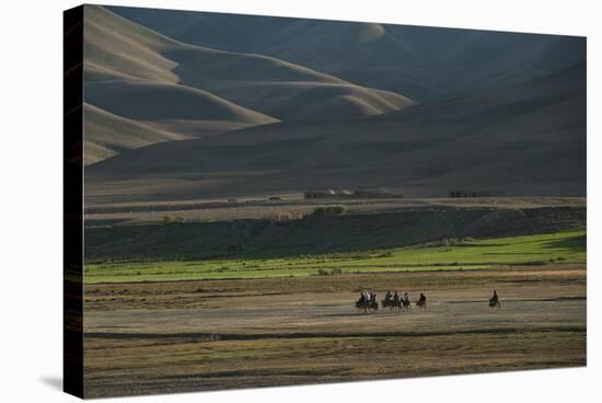 Donkeys are the Main Source of Transport in Rural Bamiyan Province, Afghanistan, Asia-Alex Treadway-Stretched Canvas