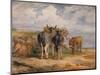 'Donkeys', c1831 (1904)-James Ward-Mounted Giclee Print