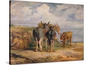 'Donkeys', c1831 (1904)-James Ward-Stretched Canvas