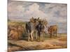 'Donkeys', c1831 (1904)-James Ward-Mounted Giclee Print