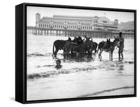 Donkeys in Sea-null-Framed Stretched Canvas