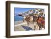 Donkeys on Greek Island-f8grapher-Framed Photographic Print