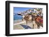 Donkeys on Greek Island-f8grapher-Framed Photographic Print